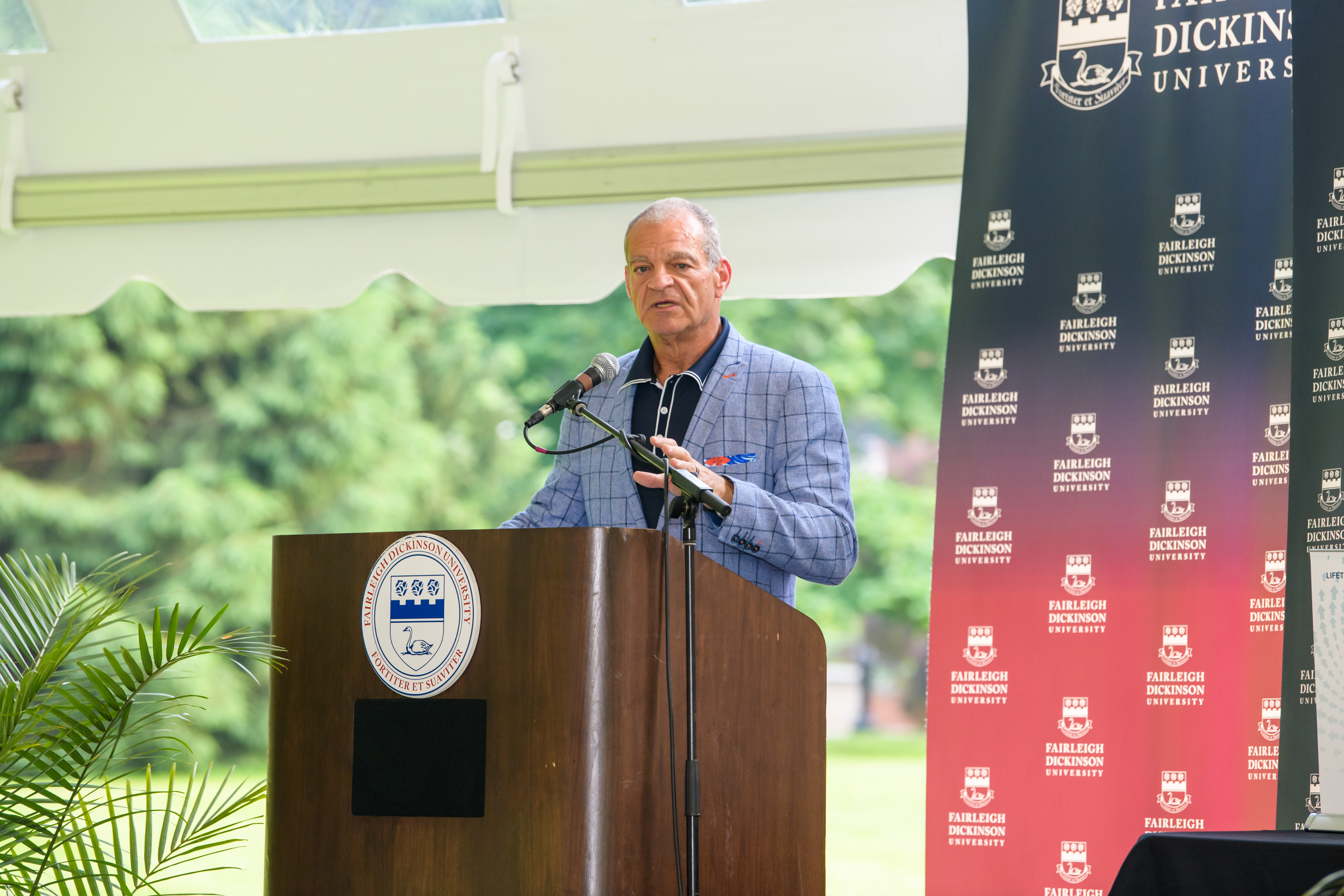 Pete Sacco Gallery Image